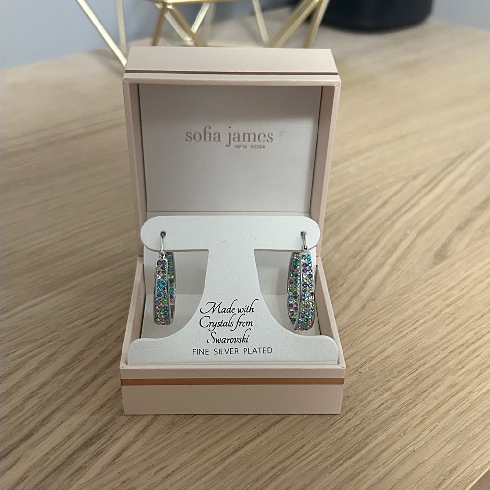 Sofia James Multicolor Crystal Hoop Earrings - Silver Plated
